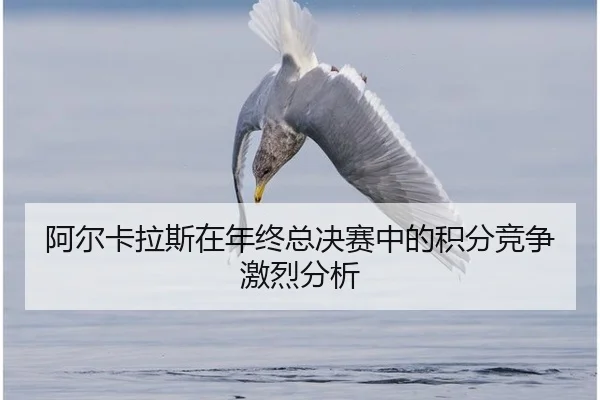 a-er-ka-la-si-zai-nian-zhong-zong-jue-sai-zhong-de-ji-fen-jing-zheng-ji-lie-fen-xi-2-121.jpg